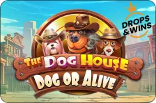 DogOrAlive
