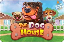 TheDogHouse